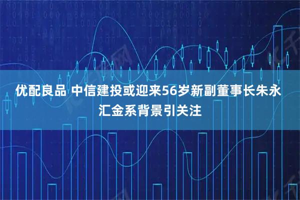 优配良品 中信建投或迎来56岁新副董事长朱永 汇金系背景引关注