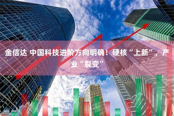 金信达 中国科技进阶方向明确！硬核“上新”，产业“裂变”