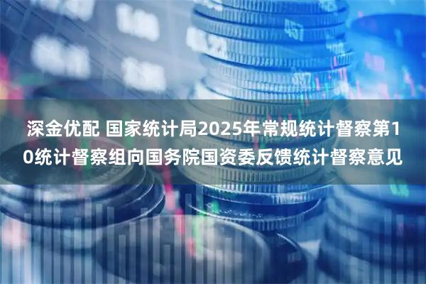 深金优配 国家统计局2025年常规统计督察第10统计督察组向国务院国资委反馈统计督察意见